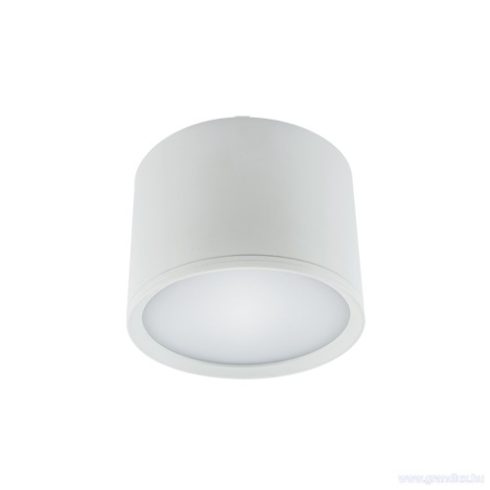 STRÜHM ROLEN LED 7W WHITE 4000K MENNYEZETI SPOT