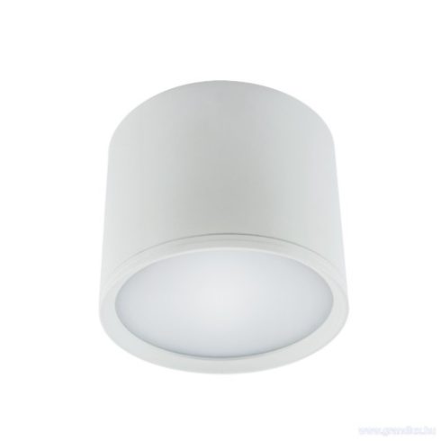 STRÜHM ROLEN LED 10W WHITE 4000K MENNYEZETI SPOT