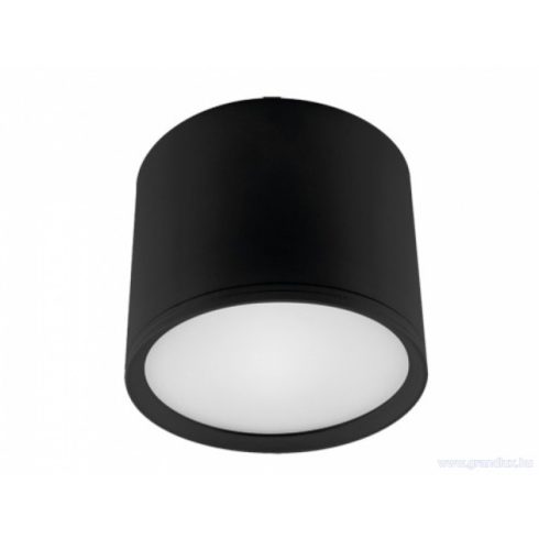 STRÜHM ROLEN LED 10W BLACK 4000K MENNYEZETI SPOT